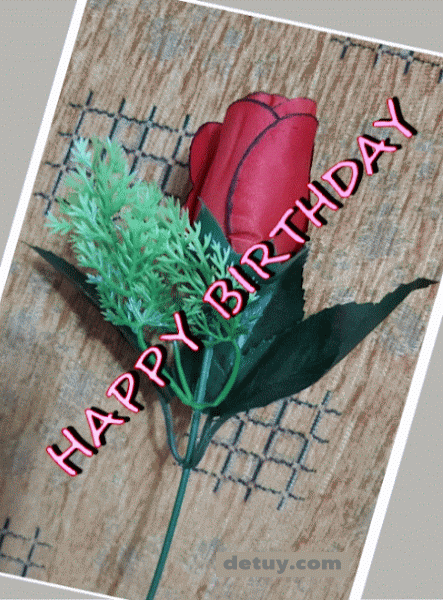 one red rose birthday gif